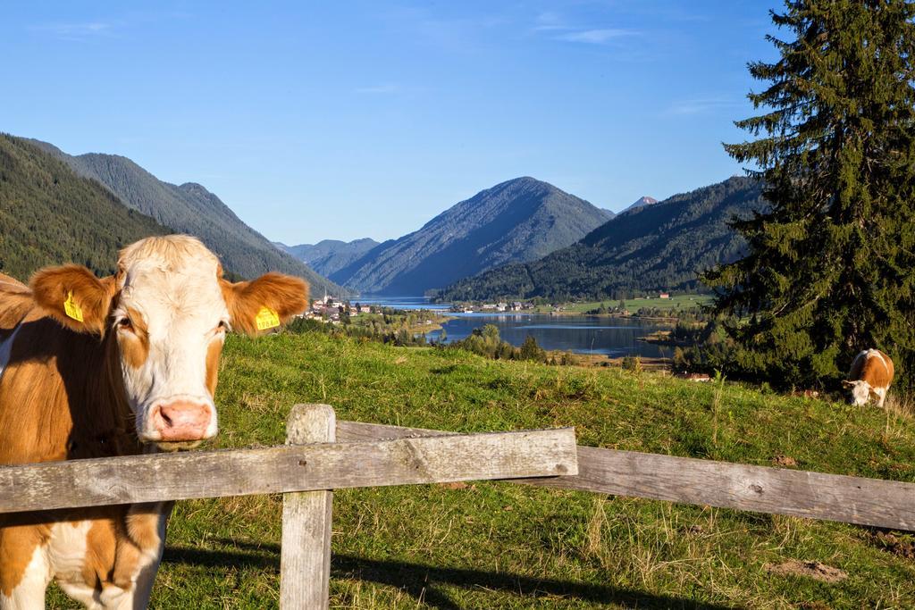 Haus Kalt Διαμέρισμα Weissensee Εξωτερικό φωτογραφία